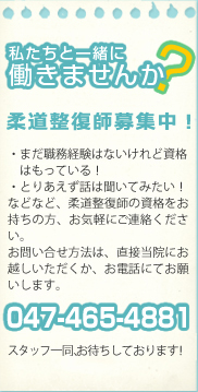 柔道整復師募集中!